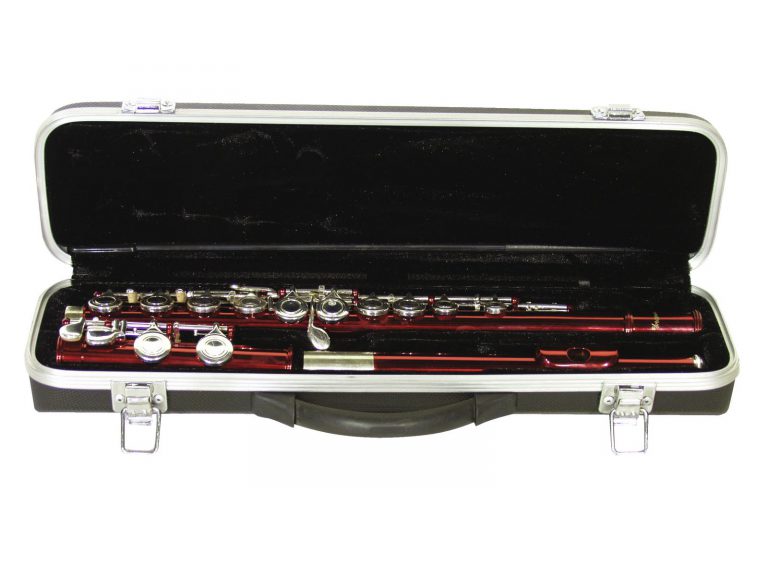 DIMAVERY QP-10 C Flute, red