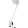 EUROLITE KKL-300 Halogen Floodlight white