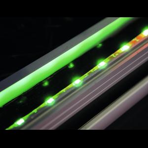 EUROLITE LED IP Strip 150 5m green 12V