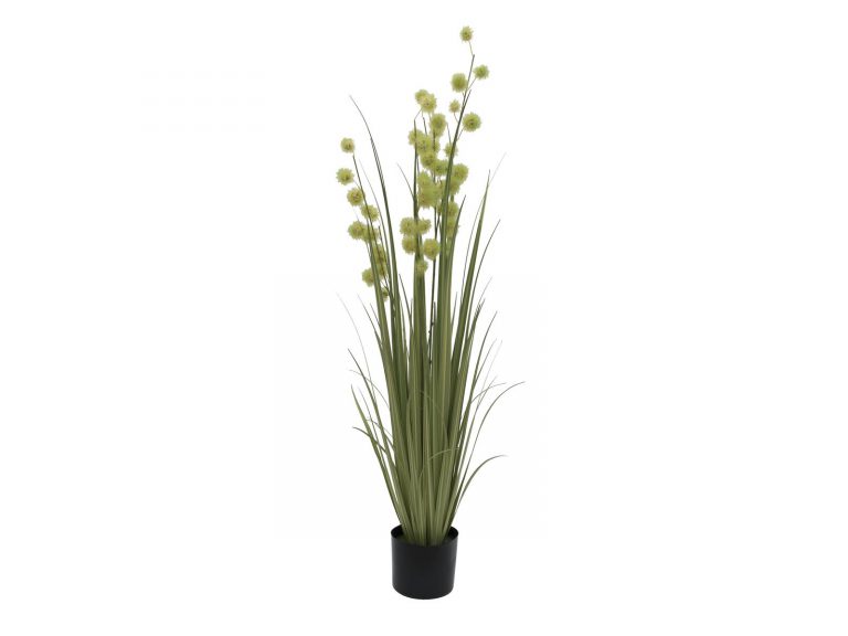 EUROPALMS Allium Grass, 122cm