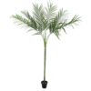 EUROPALMS Areca Palm with big leaves, 180cm