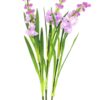 EUROPALMS Arum set, 3 branches with LEDs, pink 85cm