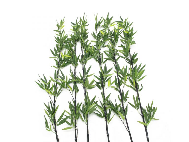 EUROPALMS Bamboo tube with leaves, 180cm, sixpack