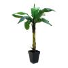 EUROPALMS Banana tree, 220cm