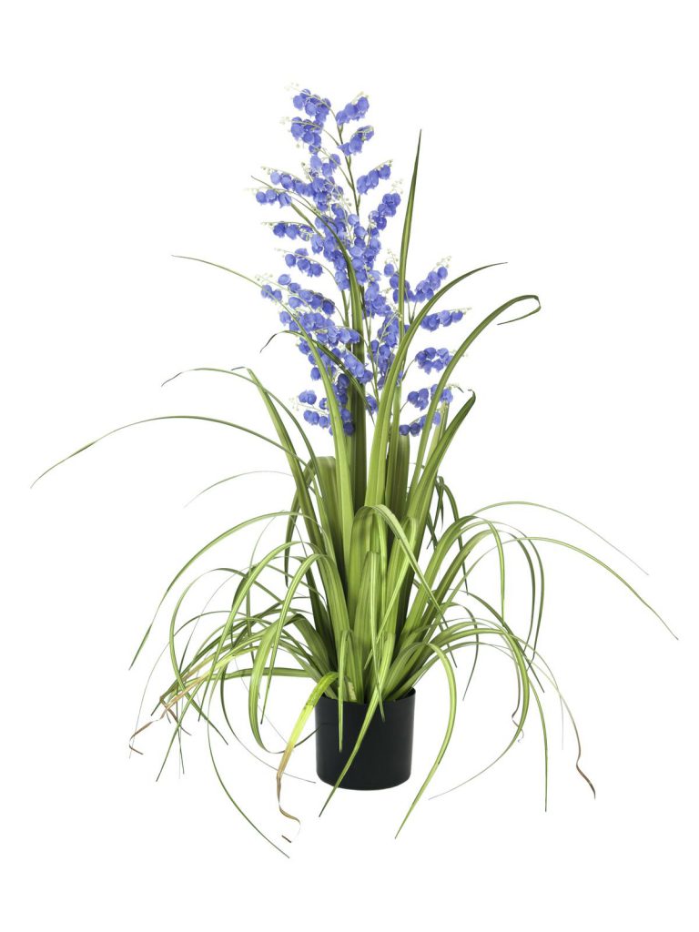 EUROPALMS Bellflower, purple, 105cm