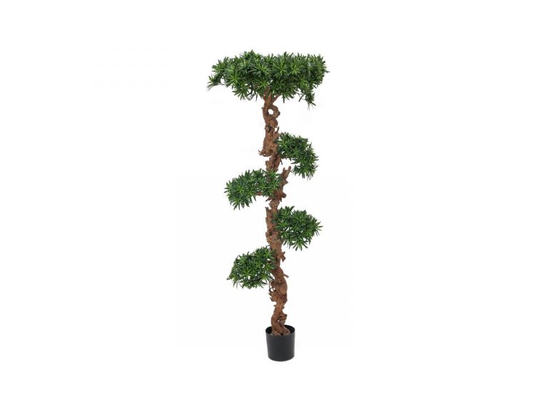 EUROPALMS Bonsai tree, 180cm