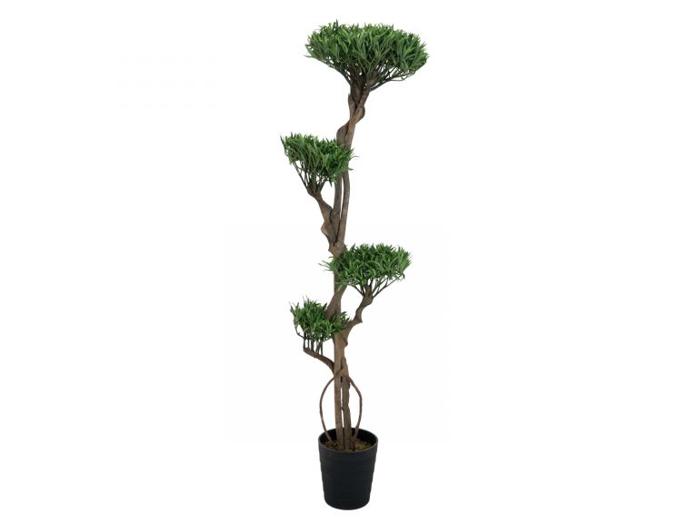 EUROPALMS Bonsai tree, multi trunk, 170cm