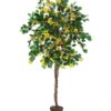 EUROPALMS Bougainvillea, yellow, 150cm