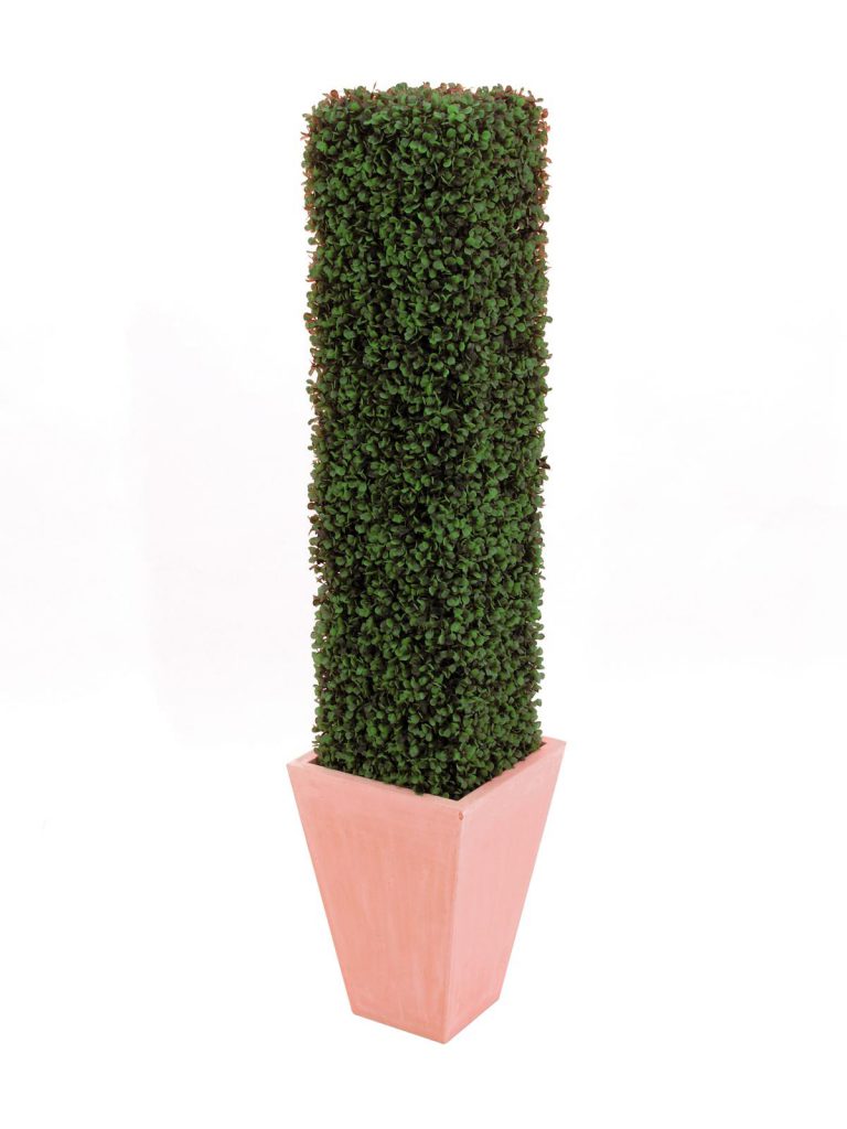 EUROPALMS Boxwood Column, 118cm