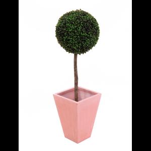 EUROPALMS Boxwood tree, 110cm, d=60cm