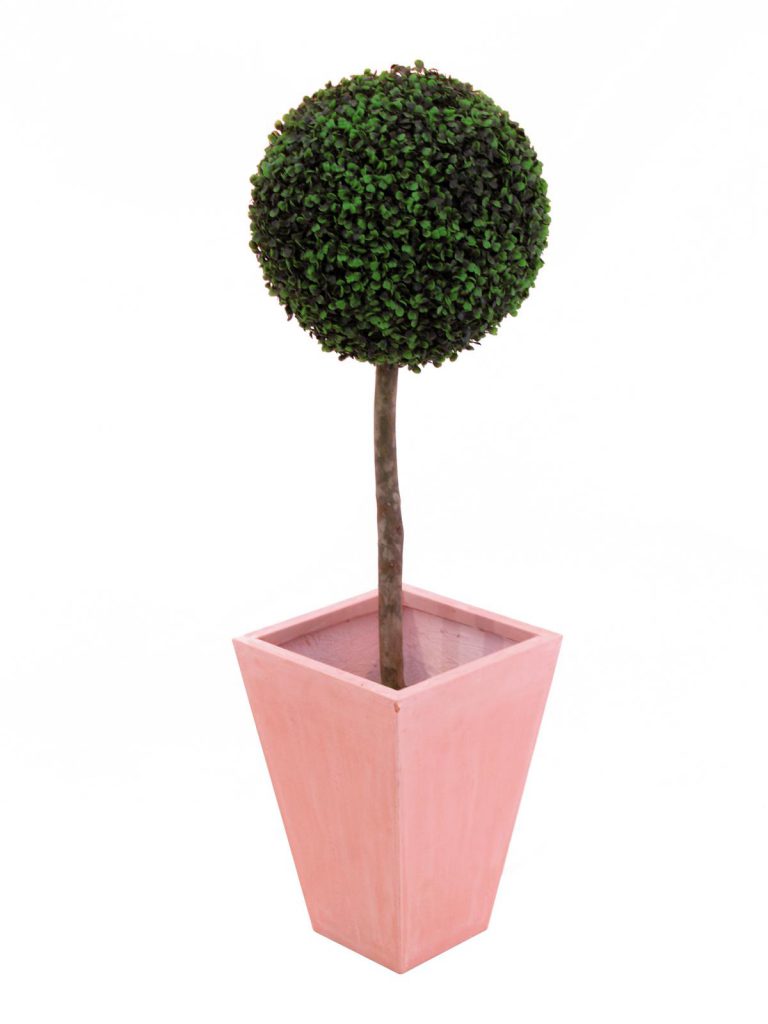 EUROPALMS Boxwood tree, 110cm, d=60cm