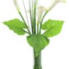 EUROPALMS Calla in glass, 64cm