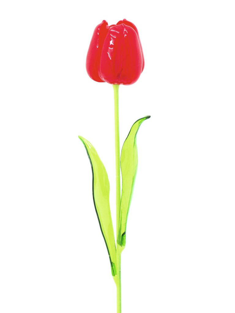 EUROPALMS Crystal tulip, red 61cm 12x