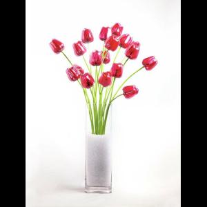 EUROPALMS Crystal tulip, red 61cm 12x