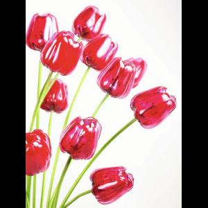 EUROPALMS Crystal tulip, red 61cm 12x