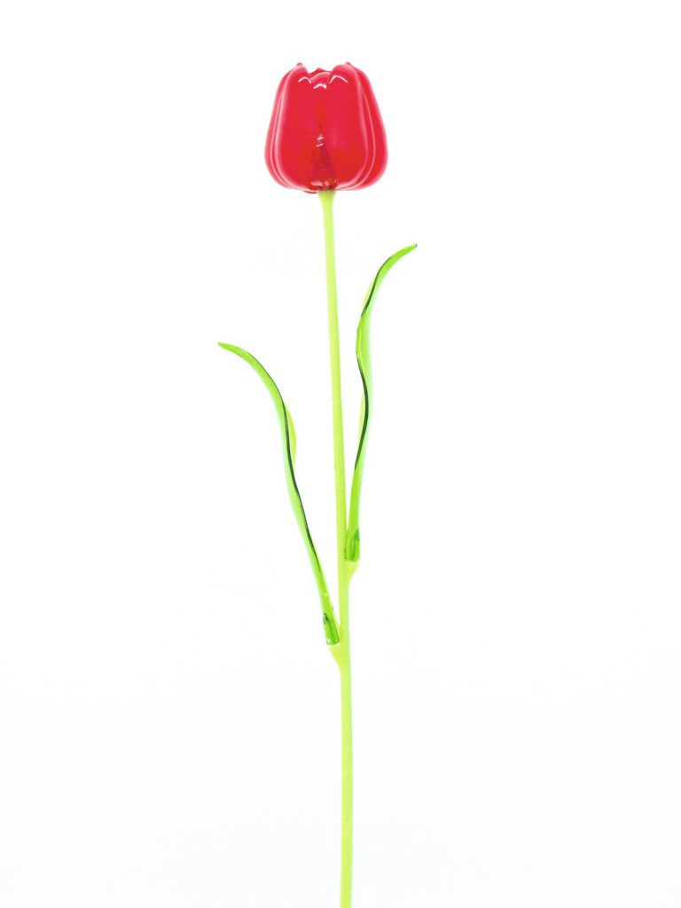 EUROPALMS Crystal tulip, red 61cm 12x