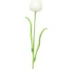 EUROPALMS Crystal tulip, white 61cm 12x