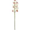 EUROPALMS Cymbidium spray, white-pink, 90cm