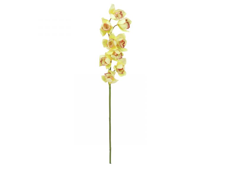 EUROPALMS Cymbidium spray, yellow, 90cm