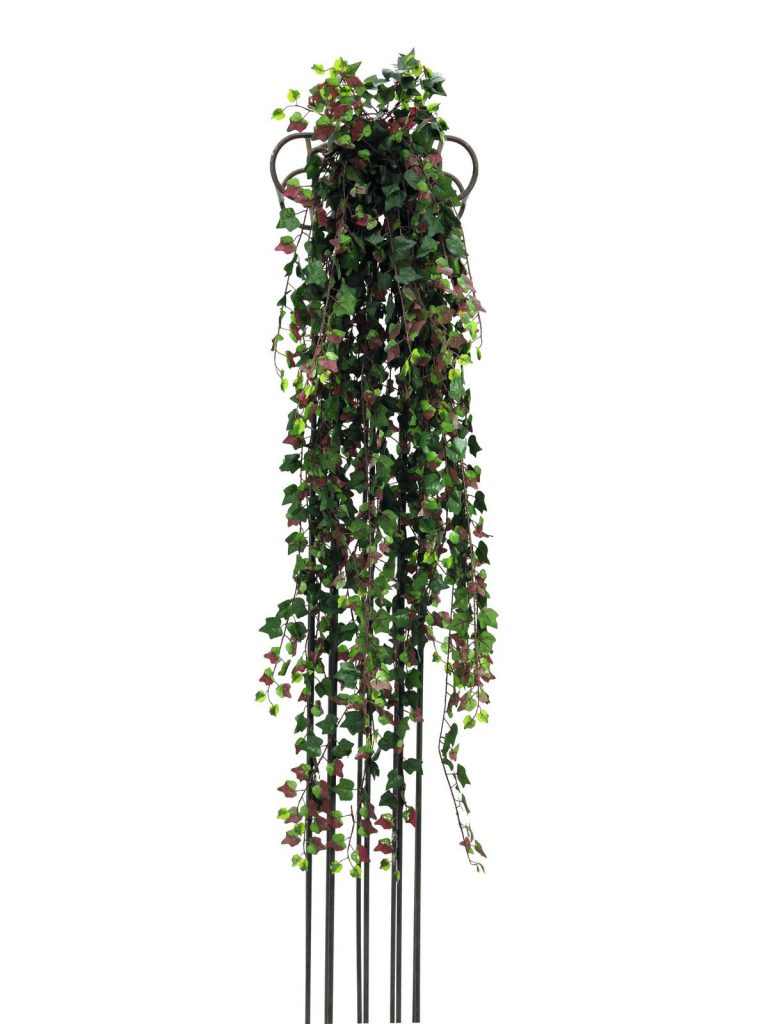 EUROPALMS Deluxe ivy tendril, green-red 160cm