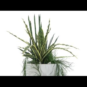 EUROPALMS Design pot LAMELLA-140, white