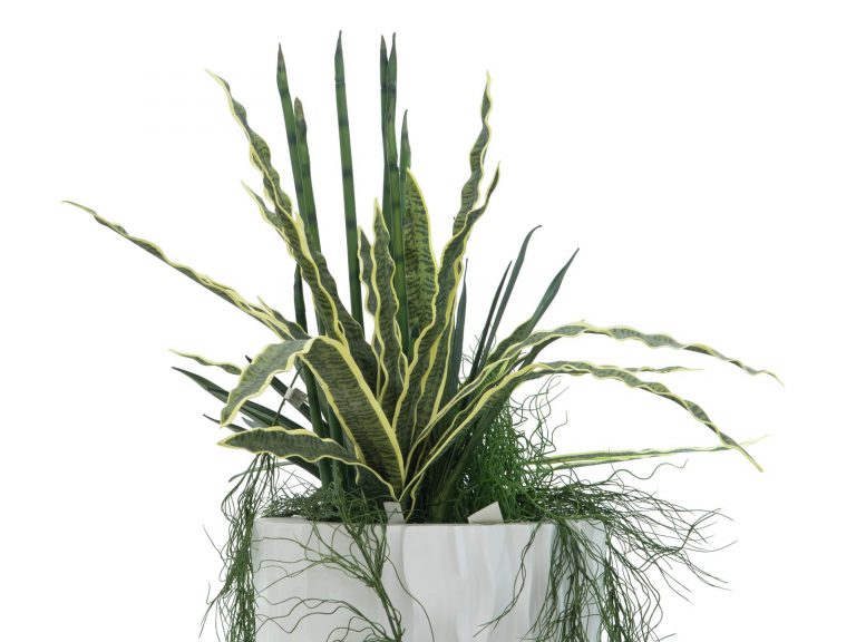 EUROPALMS Design pot LAMELLA-140, white