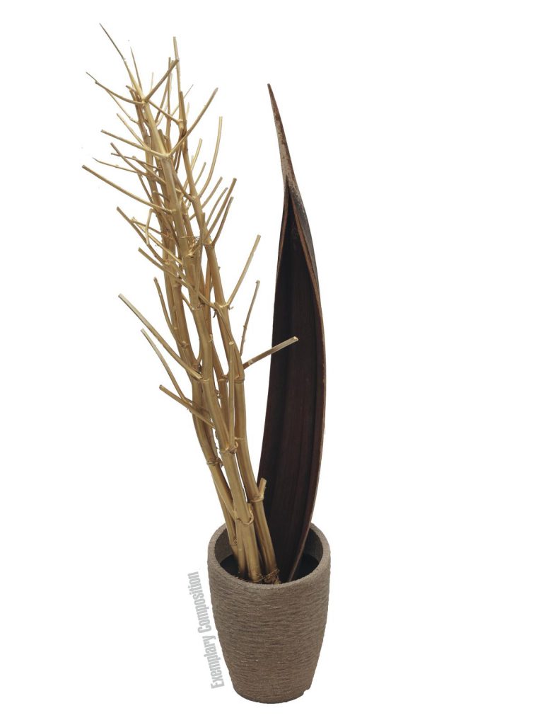 EUROPALMS Fennel bunch, dried, gold, 160cm