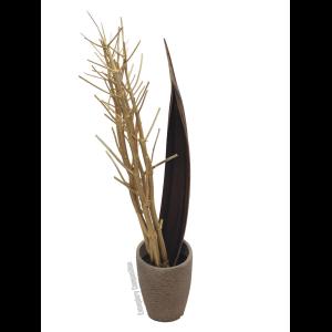 EUROPALMS Fennel bunch, dried, gold, 160cm