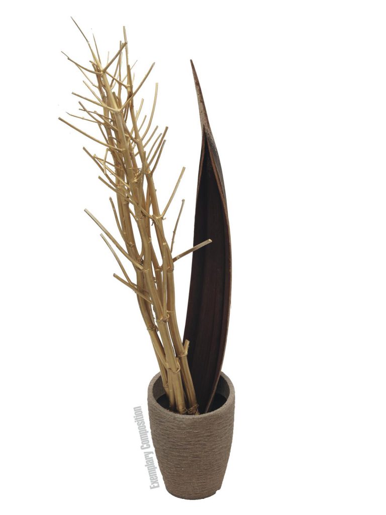 EUROPALMS Fennel bunch, dried, gold, 160cm