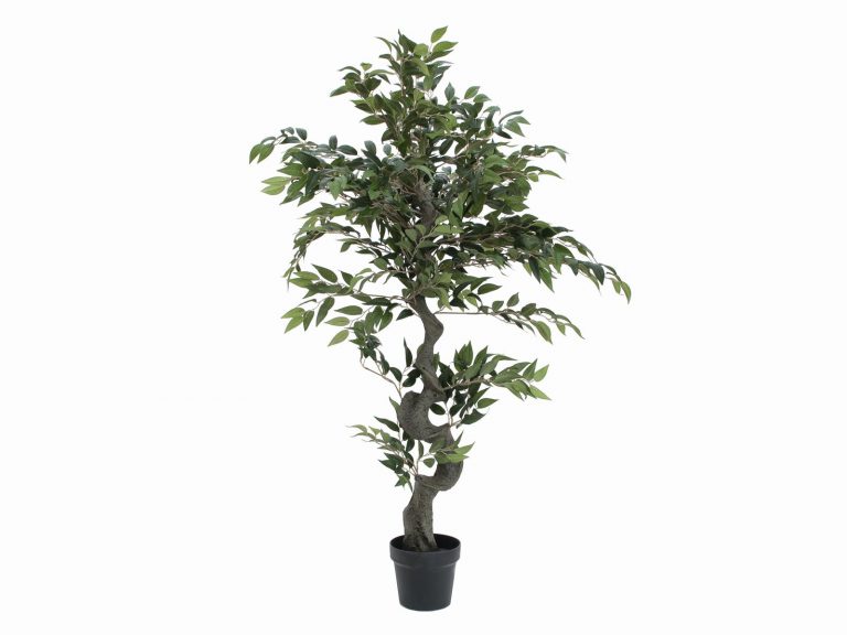 EUROPALMS Ficus Forest Tree, 110cm