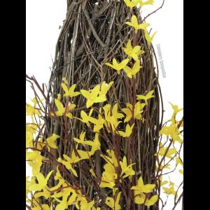 EUROPALMS Forsythia bush, 60cm