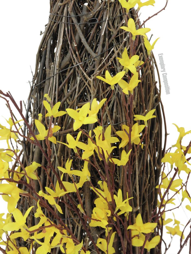 EUROPALMS Forsythia bush, 60cm