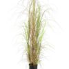 EUROPALMS Grass bush, 150cm