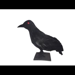 EUROPALMS Halloween Raven 30x11x23cm