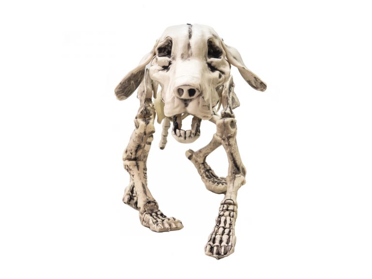 EUROPALMS Halloween Skeleton Dog, 71x40x25cm