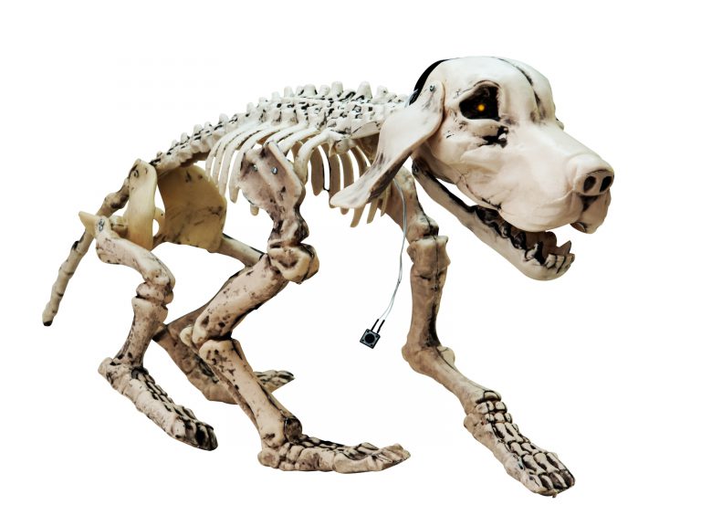 EUROPALMS Halloween Skeleton Dog, 71x40x25cm