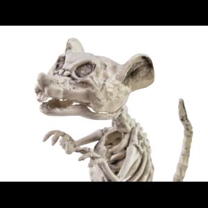 EUROPALMS Halloween Skeleton Rat, 32x10x16cm