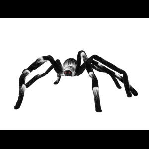 EUROPALMS Halloween spider 70x14x5