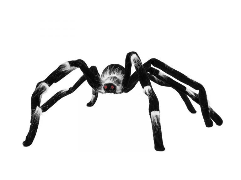 EUROPALMS Halloween spider 70x14x5