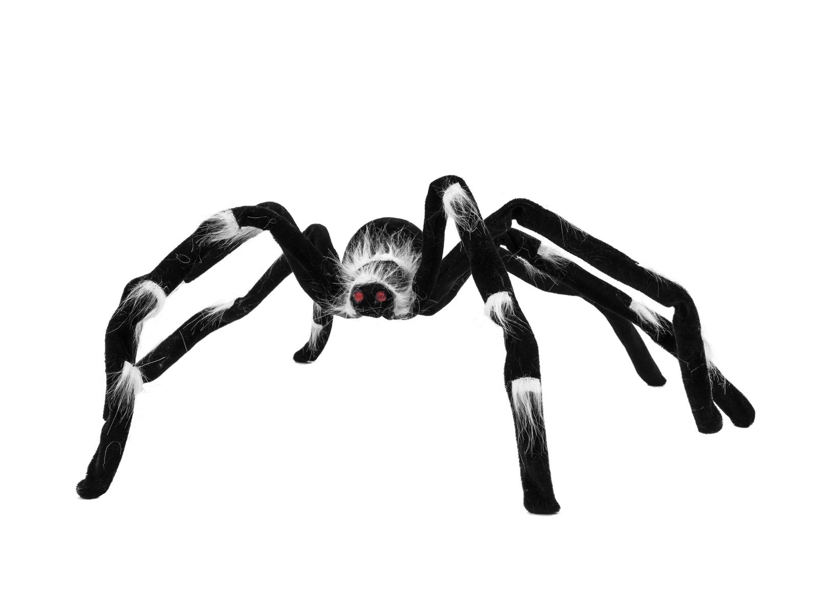 EUROPALMS Halloween spider 70x14x5 su Mondospettacoli.it - Ingrosso