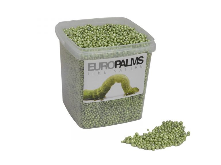 EUROPALMS Hydroculture substrate, lime, 5.5l bucket