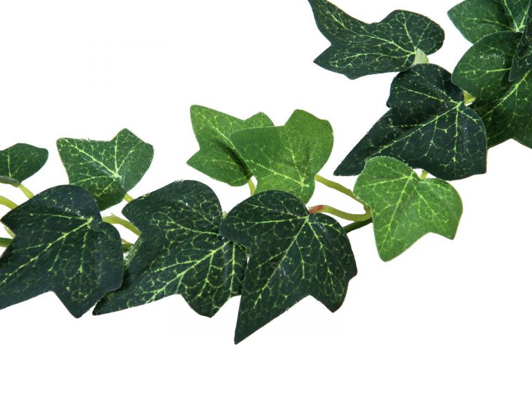 EUROPALMS Ivy garland, 100cm