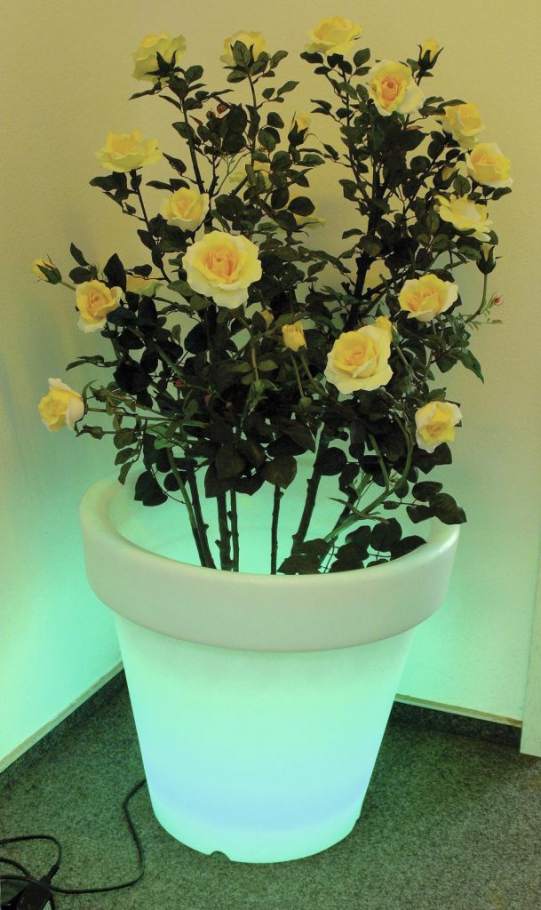 EUROPALMS LED Flower Pot 67x64cm