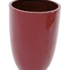 EUROPALMS LEICHTSIN CUP-69, shiny-red