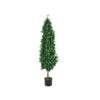 EUROPALMS Laurel Cone Tree, 150cm