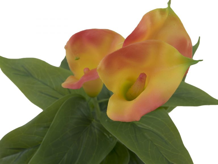 EUROPALMS Mini Calla, Yellow Orange, 43cm