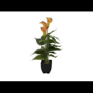 EUROPALMS Mini Calla, Yellow Orange, 43cm