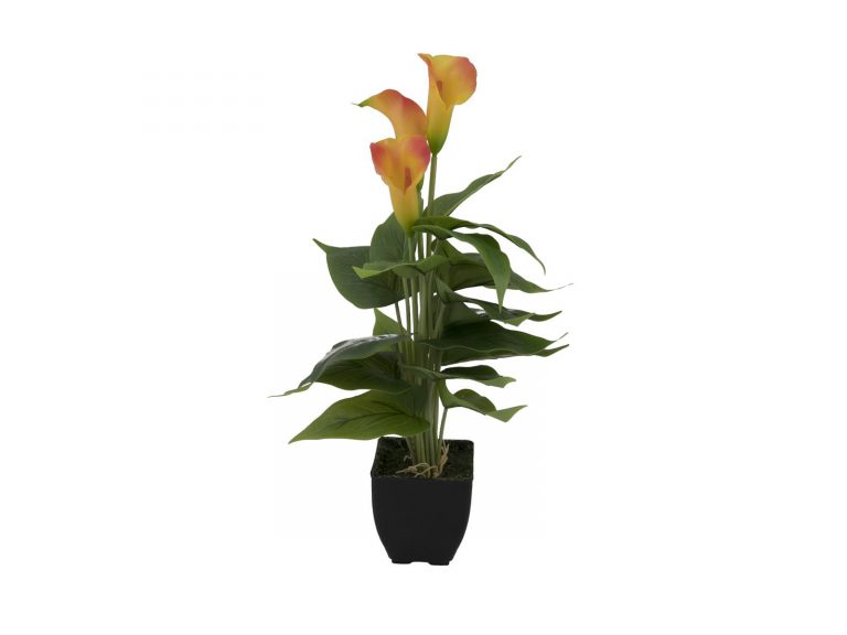 EUROPALMS Mini Calla, Yellow Orange, 43cm