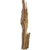 EUROPALMS Natural wood sculpture, slim 190cm