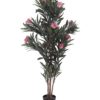 EUROPALMS Oleander tree, pink, 150 cm